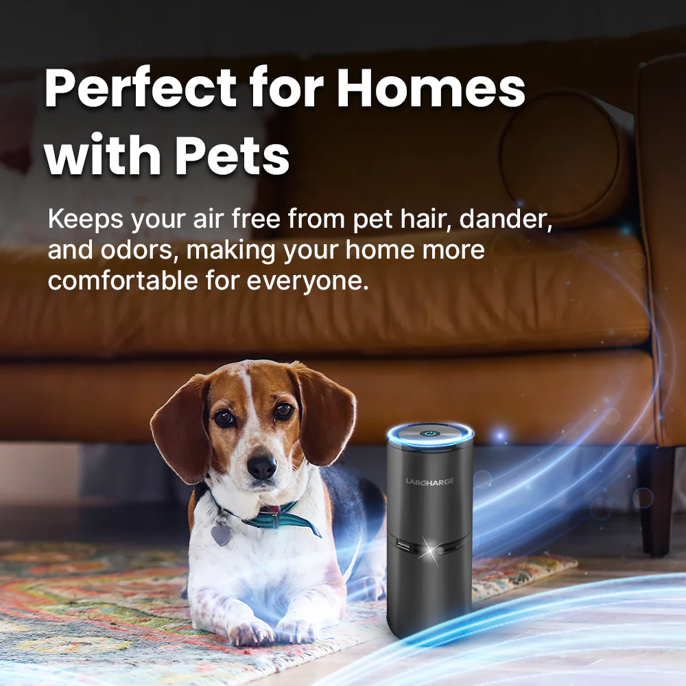 Best Ionic Air Purifier On The Market - Image 4