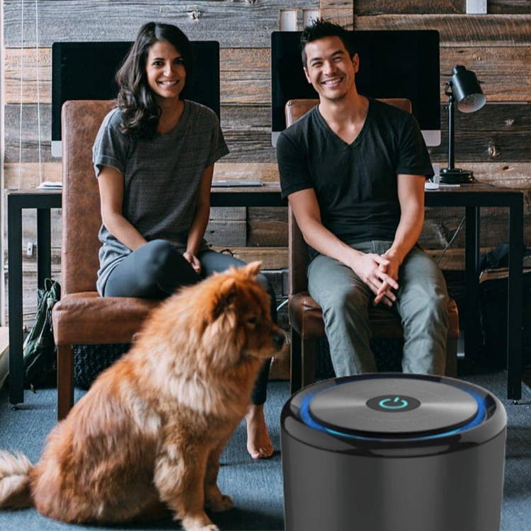 1+1 Special Offer (1 Ionic Air Purifiers + 1 Air Purifier Bags) - Image 5