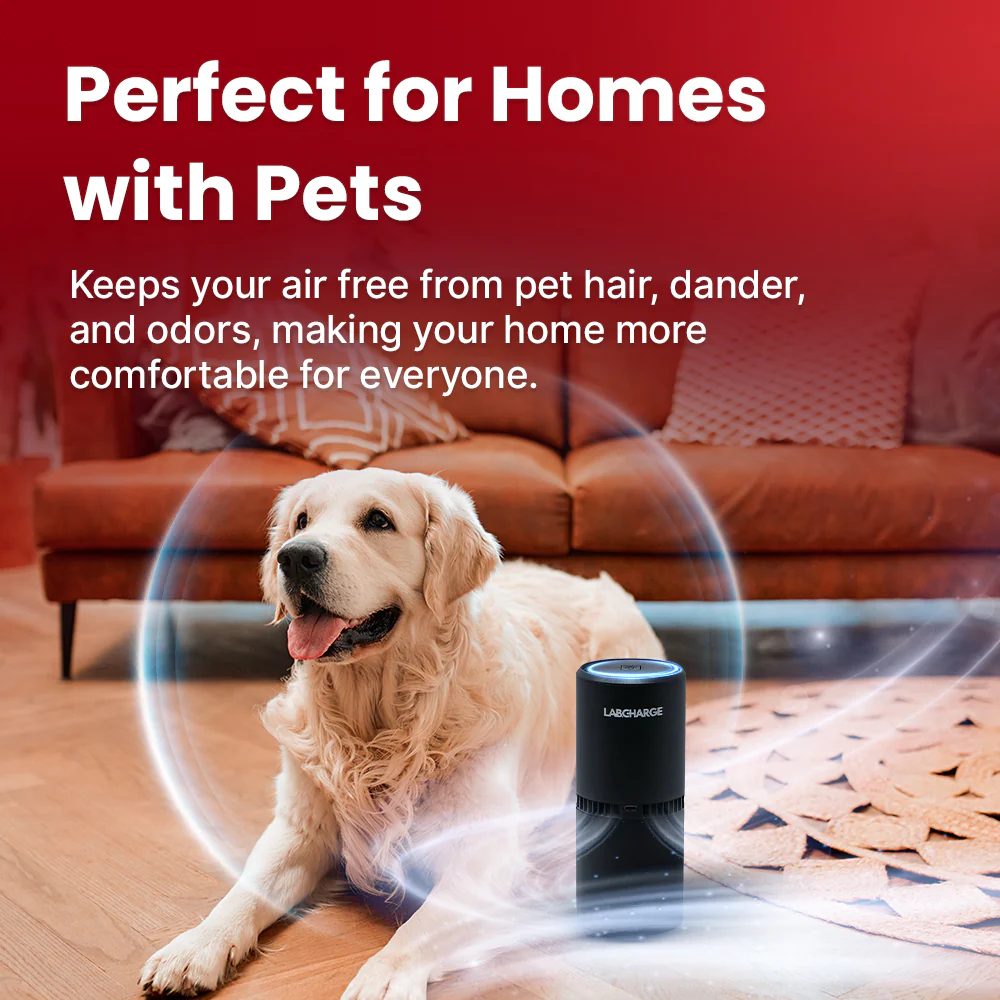5pcs Ionic Air Purifiers [Top-Rated] - Image 3