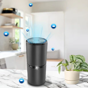 2 Ionic Purifiers + 2 Odor Removal [BFCM2023-M10292023] - Image 5