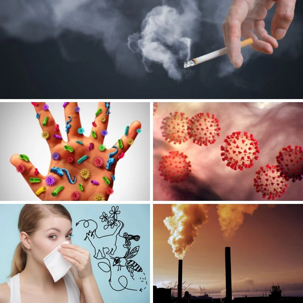 Ionic Air Purifier - Image 9